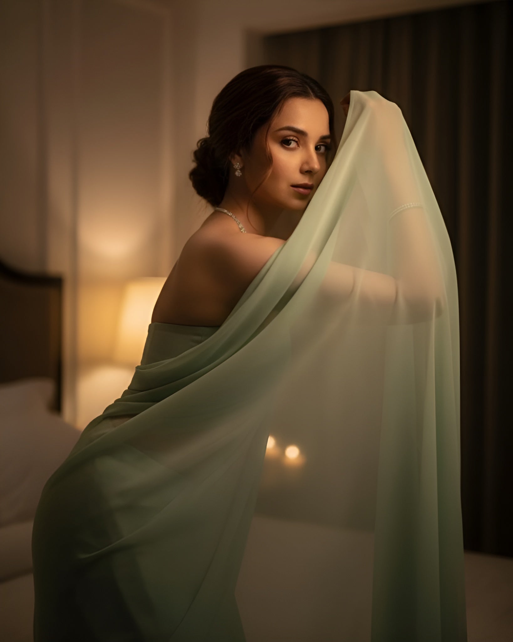 Celestial Mist Chiffon Saree