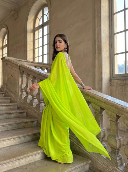 Eden Rush Chiffon Saree